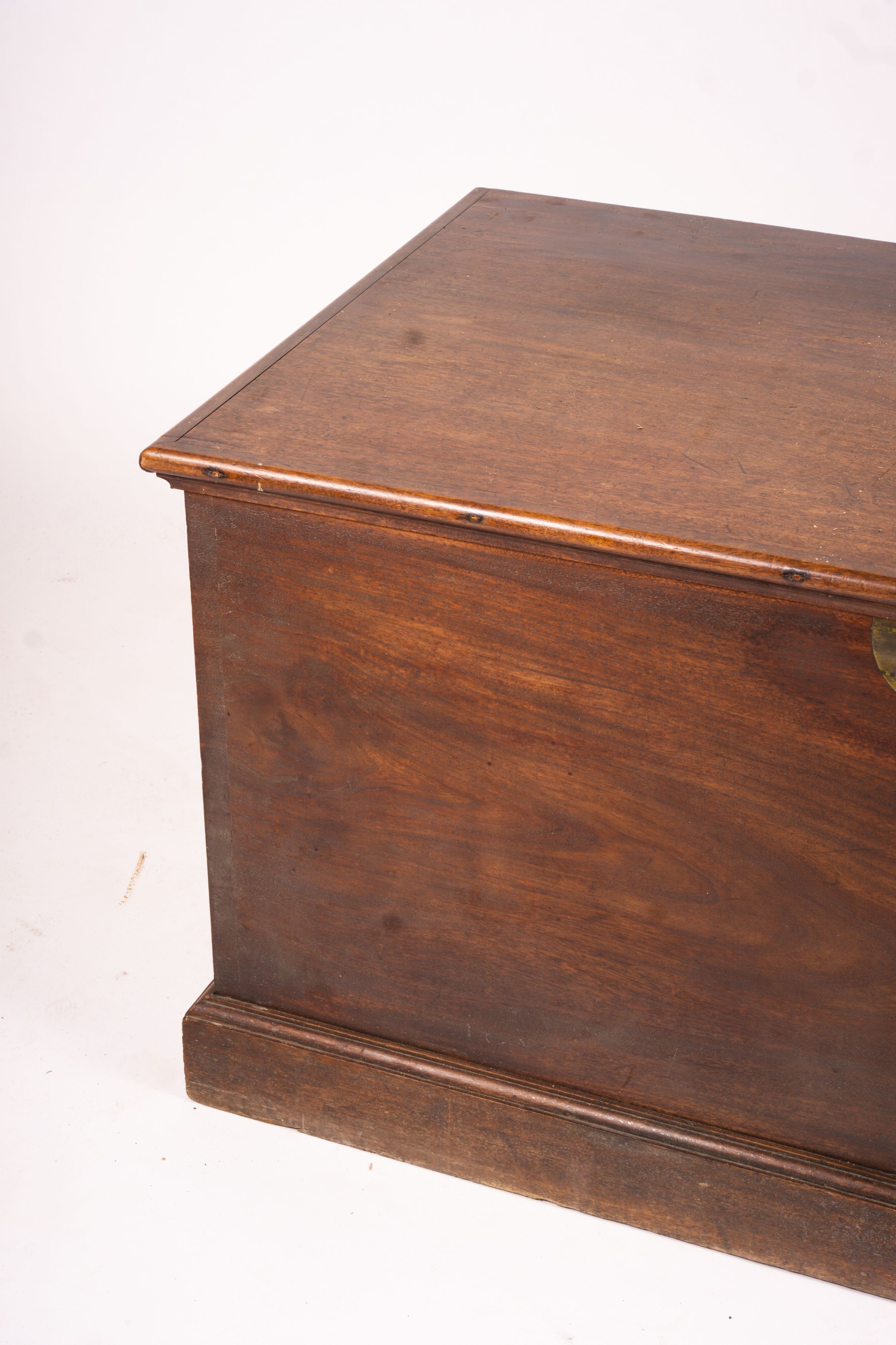 A large 19th century mahogany trunk with brass side handles, length 125cm, width 63cm, height 62cm